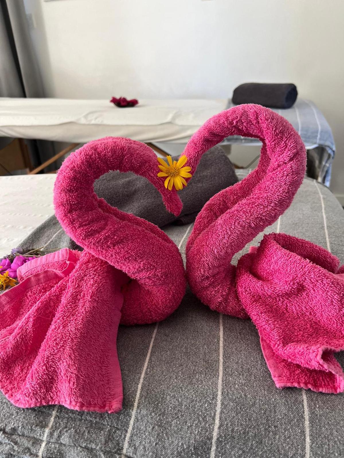 "L Eden Enchante" Chambres D'Hotes Et Spa Cote Basque Boucau Eksteriør billede